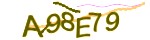 Verification