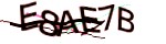 Verification