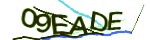 Verification