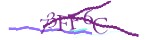 Verification