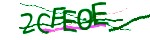 Verification