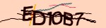 Verification