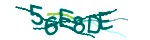 Verification