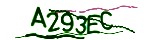 Verification