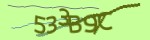 Verification