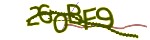 Verification