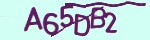 Verification